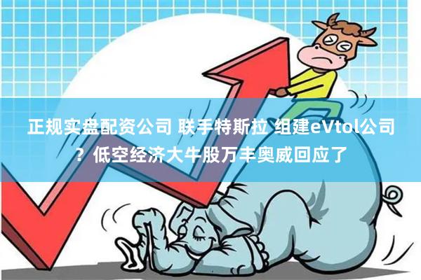 正规实盘配资公司 联手特斯拉 组建eVtol公司？低空经济大牛股万丰奥威回应了