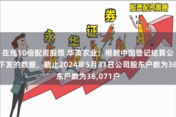 在线10倍配资股票 华英农业：根据中国登记结算公司主动下发的数据，截止2024年5月31日公司股东户数为36,071户