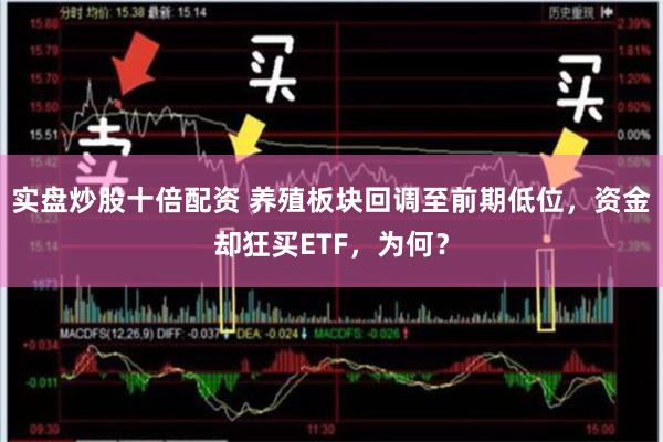 实盘炒股十倍配资 养殖板块回调至前期低位，资金却狂买ETF，为何？