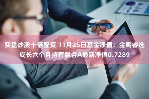 实盘炒股十倍配资 11月25日基金净值：金鹰睿选成长六个月持有混合A最新净值0.7289