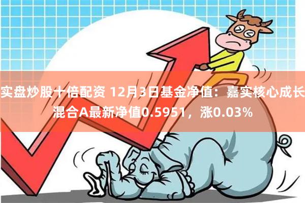 实盘炒股十倍配资 12月3日基金净值：嘉实核心成长混合A最新净值0.5951，涨0.03%